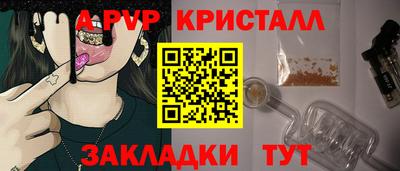 Альфа ПВП Новодвинск