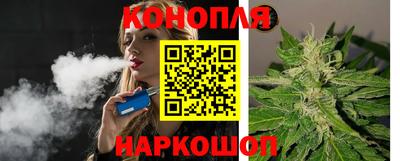Альфа ПВП Новодвинск