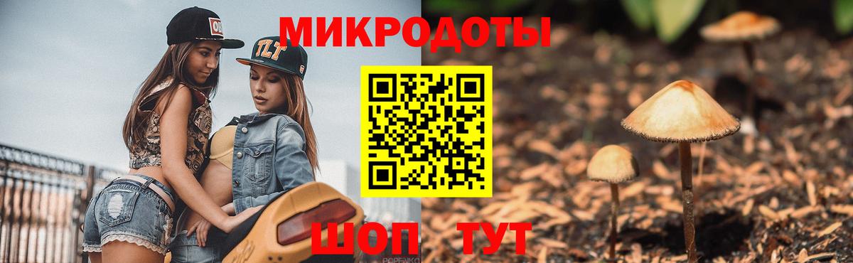 Псилоцибиновые грибы GOLDEN TEACHER Сыктывкар